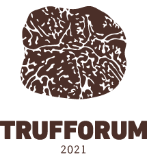 Trufforum | El mundo de la trufa Logo