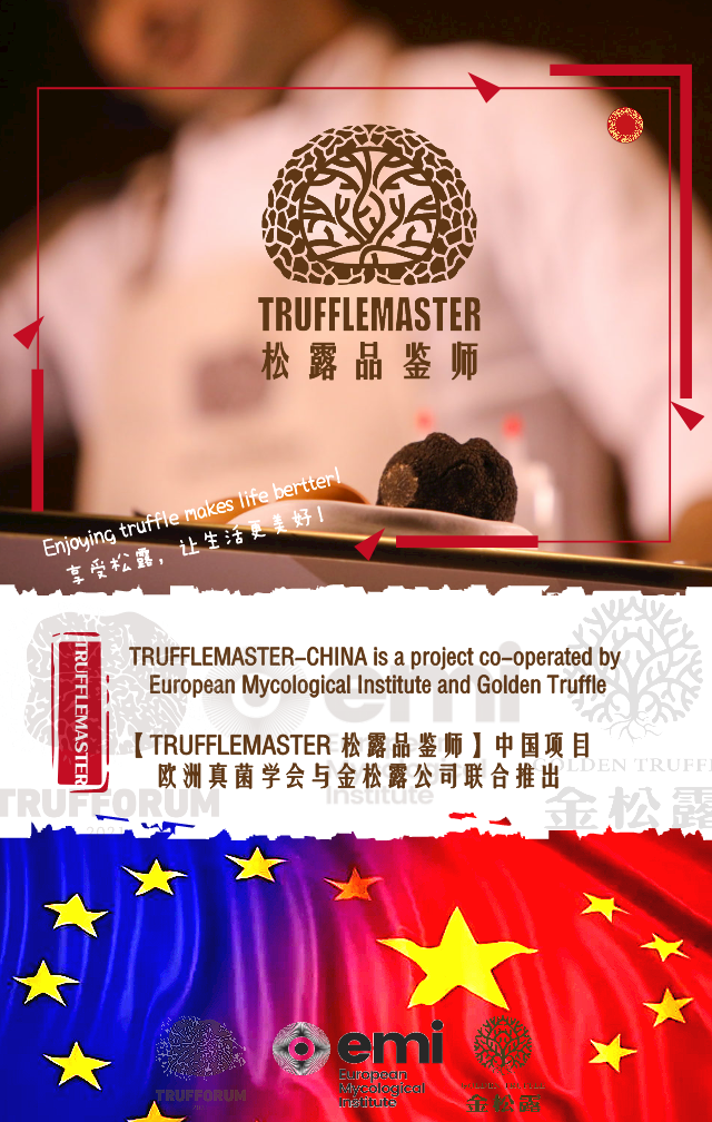 truffle-china china-truffle trufforum trufiturismo